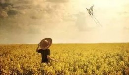 有一天在线观看,揭秘“有一天”在线观看的奇幻之旅